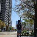 버스정류소_동미빌딩 | 타이중 춘수당 국립가극원 펑지아 야시장 혼자 여행