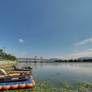 낙동강장어 이미지