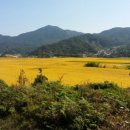 구룡주유소 이미지