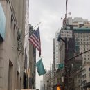 아일랜드 앤 코 이미지