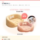 배드슈가