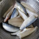 언 고기 이미지