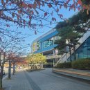 멋지다 | 2025 부산일러스트페어 관람 후기..멋지다!!!