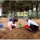 왕곡농장 이미지