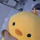 지지재 | 신논현피부과 필로드 스킨부스터 리쥬란 비교 내돈내산 후기