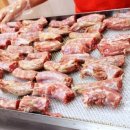 팡팡애견 이미지