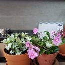 형제농축산 이미지