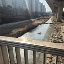 경동농장 | 경동시장 우아농장 한돈 생등갈비로 집들이 음식 성공