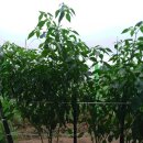 모악농장 이미지