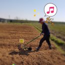 서수농장 이미지