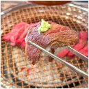 삼환축산시청점 이미지