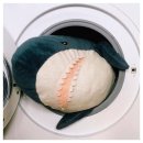 상어피시방 이미지