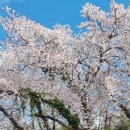 통영생태숲(입구) | 눈물 나게 이뻤던 통영 뷰 통영생태숲