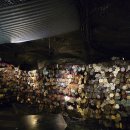 광명 꽃 수족관 | 바람쐬러 가기 좋은 경기도 광명에 위치한 광명 동굴 방문 후기