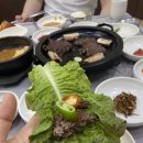 태인 애견 이미지