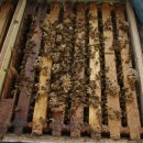 (주)신왕 이미지