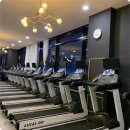 온리스포츠 이미지