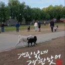 개판살판 이미지