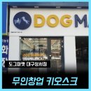 도그마캣대구성서점