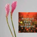 소소한 스토리