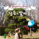 소이컴퍼니