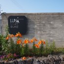 제주도 커플펜션 루나마르 이미지