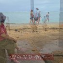[금빛황혼,동행50년]팔순및 결혼50년 기념 미국 하와이여행(동영상) (2026.3.20~3.24) 이미지