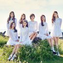 다이아 스포츠조선