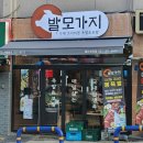 전하 | 울산 족발 맛집 발모가지 전하점 전통족발 포장 후기
