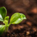 종합농약종묘사 이미지