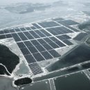 제일태양광발전소 이미지