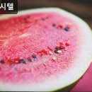 4U고시텔
