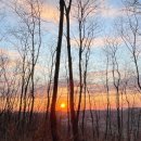 참살이 가족 캠핑장 | 1월 안산 참살이 오토가족캠핑장 명당 해멍달멍 5번자리 후기