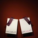 디캐럿의원 이미지