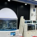 고등어다찌 이미지