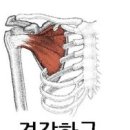 준피티샵 이미지
