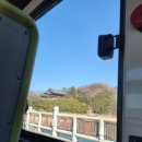 밀양정형외과의원 네이버블로그