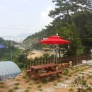 반딧불민박 이미지