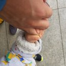 이태원삼성어린이집 이미지