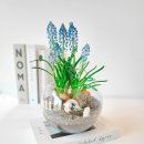 서울지향초등학교 이미지