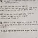 리즈다육