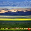 신강목장 이미지