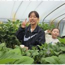 인성태권스쿨 이미지