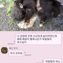 제발 집단지성의 힘을 보여줘.. 이거 귀신 손가락일까? 이미지