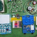 작은등샘 이미지