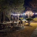 게스트하우스 나비야 이미지