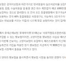 펫파민트 이미지