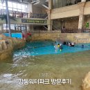 도그패밀리 | 경주 강동워터파크 아이랑 방문후기 준비물 정보