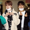 무진전재 이미지