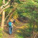호랑산 둘레길 이미지